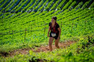 BIB: 2965
                            <button type="button" onclick="openModal(19162630)" class="btn btn-primary btn-sm float-right btn-popup" data-toggle="modal" data-target=".modal-high-quality">
                        <i class="fas fa-shopping-cart"></i> Add to Cart
                    </button>
                                            <button type="button" onclick="isThisMe(19162630, true)" class="btn btn-success btn-sm float-right btn-popup btn-isme hidden" data-toggle="tooltip" data-placement="bottom" title="นี่คือรูปของคุณใช่ไหม คลิกที่นี่เพื่อเอาเข้าอัลบั้ม">
                        <i class="fas fa-plus"></i> Add to album
                    </button>
                    <button type="button" onclick="isThisMe(19162630, false)" class="btn btn-warning btn-sm float-right btn-popup btn-isnotme hidden">
                        <i class="fas fa-ban"></i> Remove from album
                    </button>